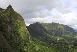 image-1259