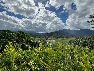 image-1053
