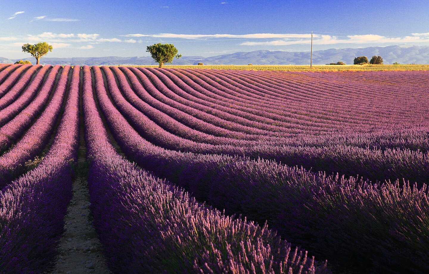 Provence2